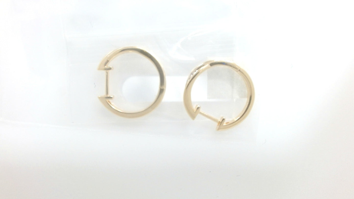 Colored Stone Earring