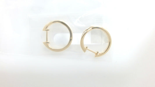 Colored Stone Earring