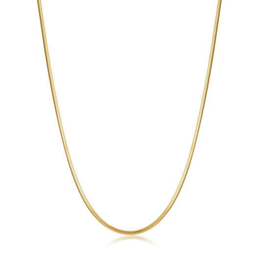 Precious Metal (No Stones) Necklace